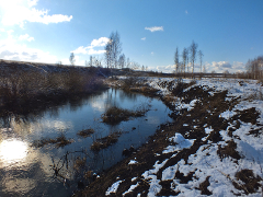 Река Осетр Тульская область